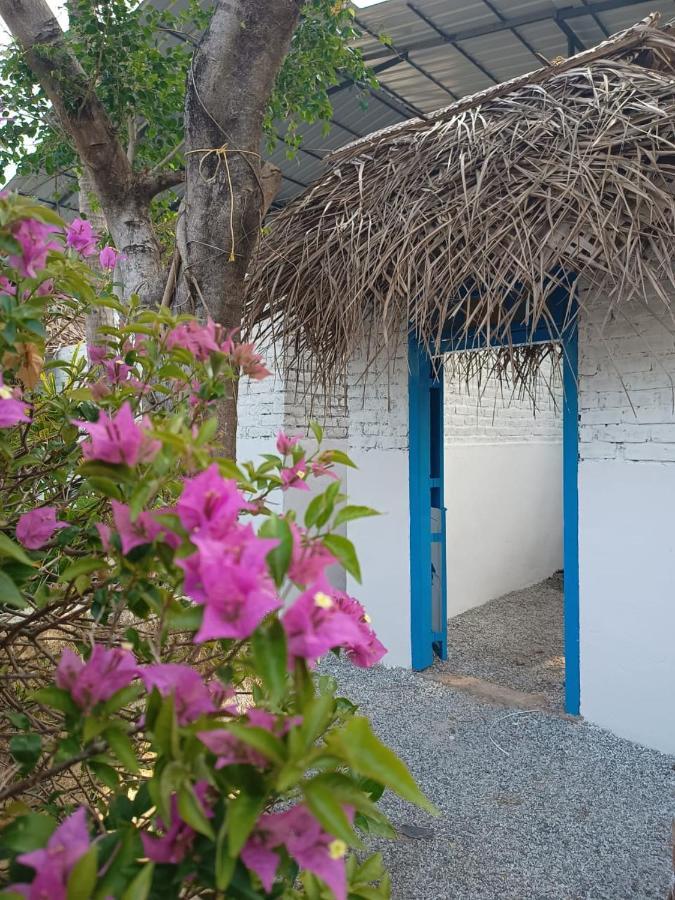 Hostel Calaila Варкала Екстериор снимка